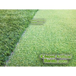 foto anti green golf