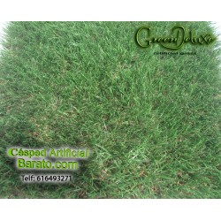 Kit 80m² Césped artificial Greendeluxe Niza P35MR