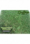 Kit 80m² Césped artificial Greendeluxe Niza P35MR