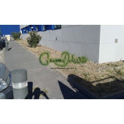 30m² Césped artificial GreenDeluxe Madrid Supreme C35 BV