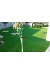 30m² Césped artificial GreenDeluxe Madrid Supreme C35 BV