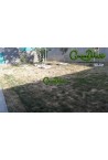 30m² Césped artificial GreenDeluxe Madrid Supreme C35 BV