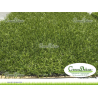 Césped artificial GreenDeluxe MD 22mm - Oferta exclusiva para jardines y terrazas.