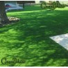 Césped Artificial Económico MD22
