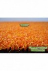 CESPED ARTIFICIAL NARANJA 12MM