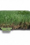 Kit-10m² Greendeluxe Niza premium 37