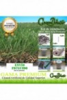 Kit-50m² Greendeluxe Niza premium 37