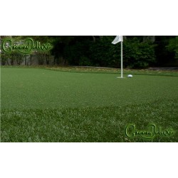 Precio putting green...