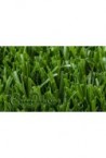 copy of CÉSPED ARTIFICIAL FÚTBOL GD-M20 OVAL BICOLOR