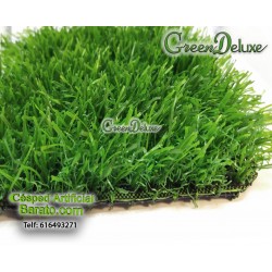 copy of Kit-50m² Greendeluxe Niza premium 37