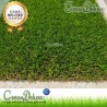 Greendeluxe W PRO MR 40