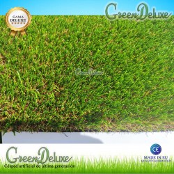 Greendeluxe W PRO MR 40