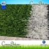 CÉSPED ARTIFICIAL FÚTBOL GD-M20 OVAL BICOLOR