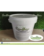 Cola bicomponente de poliuretano cubo de 5,5kg